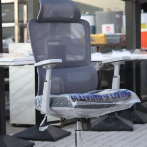 Imported Korean Ergonomic Office & Gaming Chair with Headrest