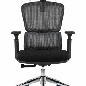 Ergonomic Chair